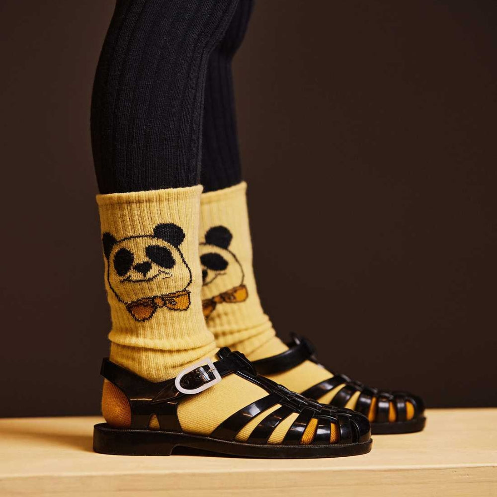 462d3d1ebab5620b61a279764d6913f6