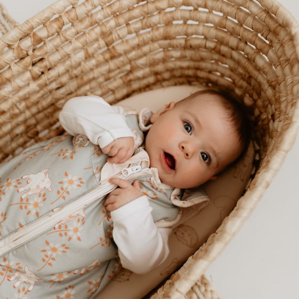 4852074c290bcd9a26a682f14bc829b8