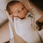 fecaaed977262b12b58d35bf01727645