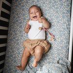 b45da0db1264634822affa3958def472