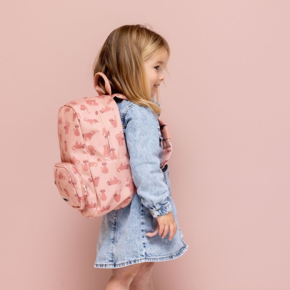 095ddc47e2d17ce63022afdae33fe3ca