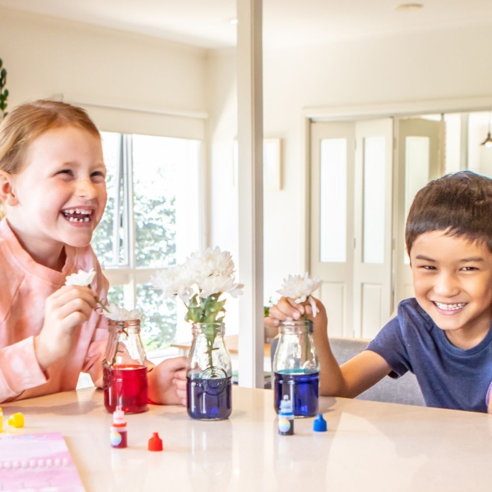 163b682fed89241ff8cca533c53a2c69