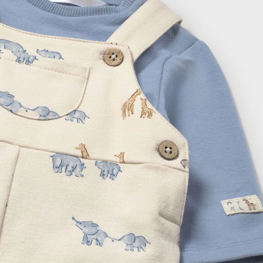 d41f3b5a396d7d72f9e39e252e2b0b2b