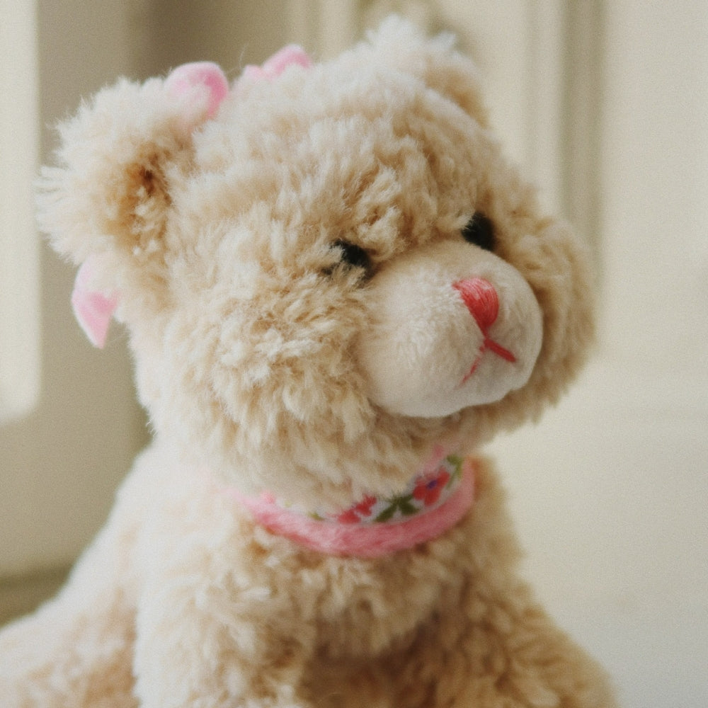 247131eb72ba062110f1fcaefef288b0