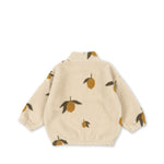 69e66b530e48ad43b0e8849764143759