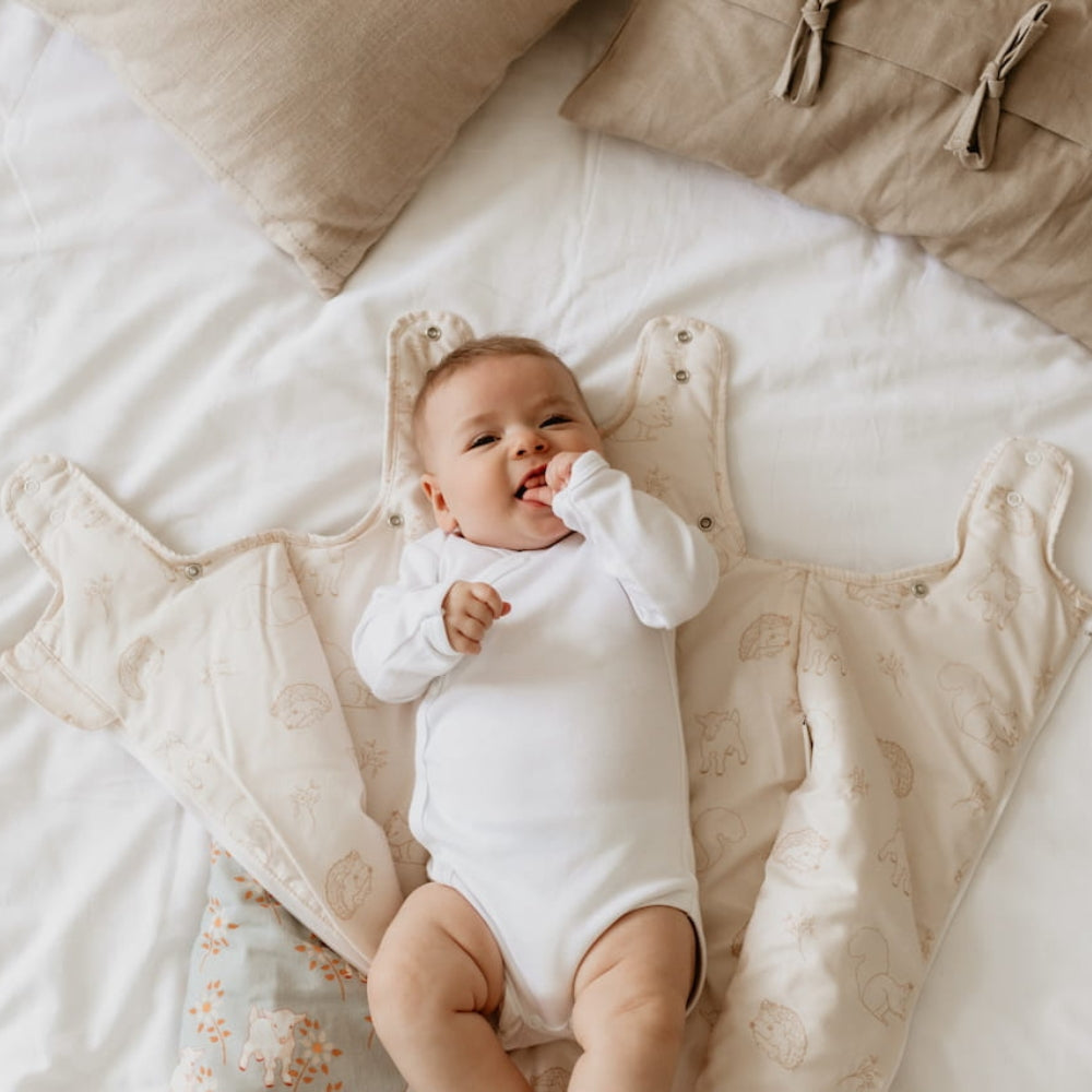 64ec387707e21c944d22b8c25b0d3236