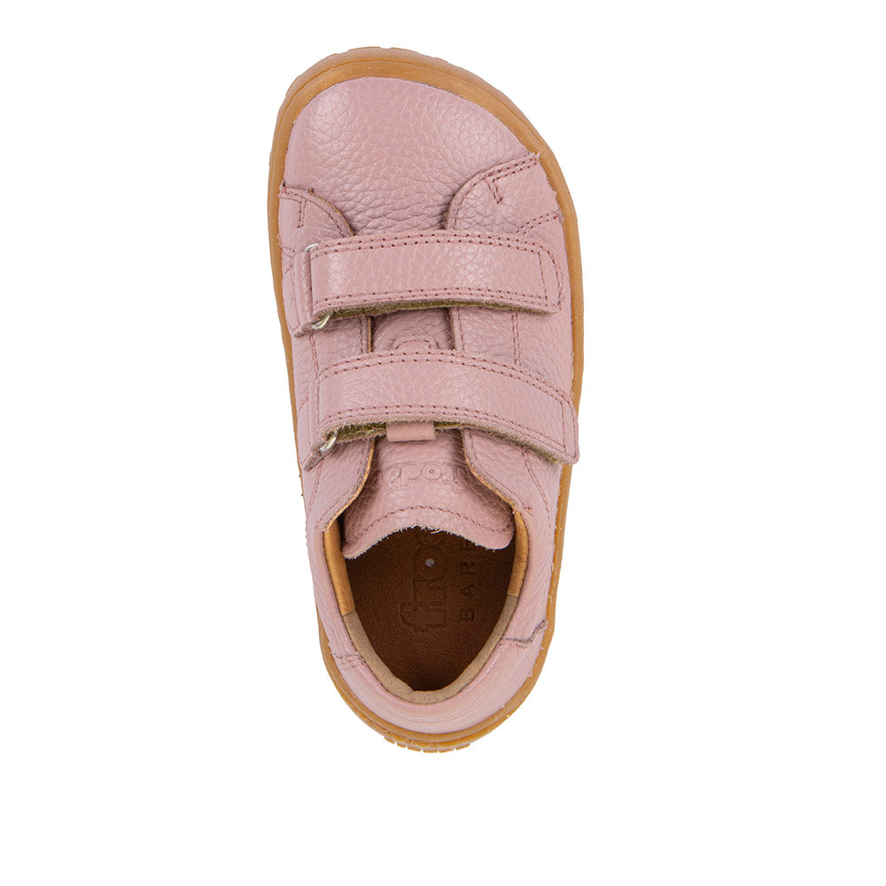 69e2bb6cb661fdf6ad53c0486c62a288