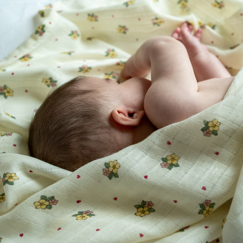 7088a07d679e328b045868c41c279964