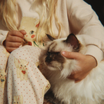 059304456c05476a759f67b0aae1e740