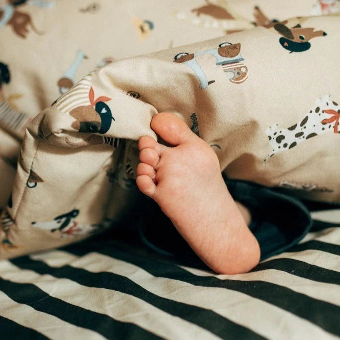 accc644397188921adf99d665b5cbac0