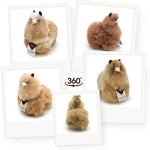 6fd9559c0e5d0b2436a2601e34b9fcd1