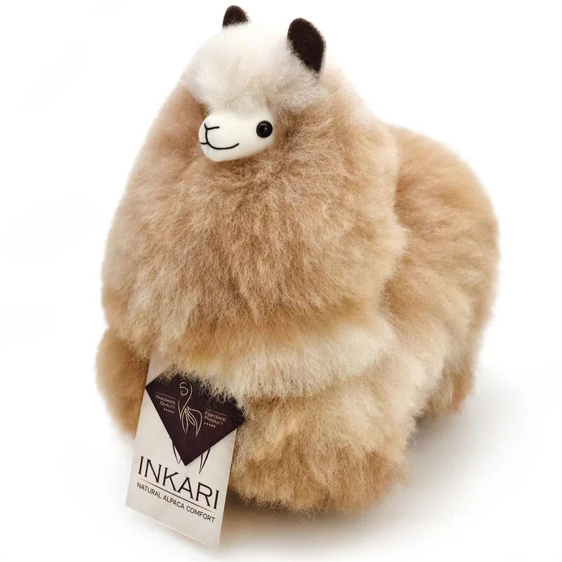 028ed50a3f6cd6c770e49f0f28cded84