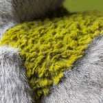 Изображение на слайд