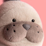 Изображение на слайд