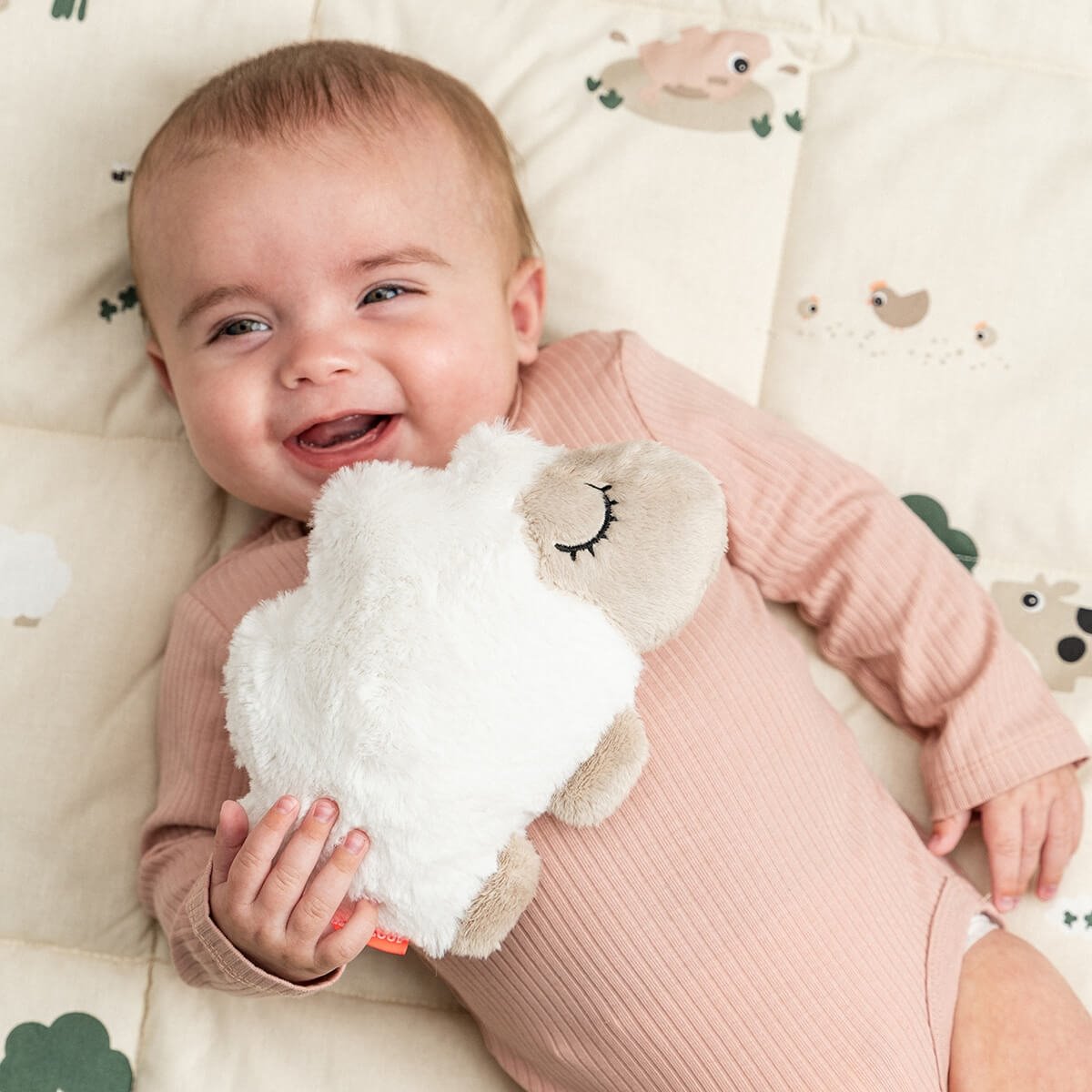 fd163e369f007e1da5993db5abc8f247